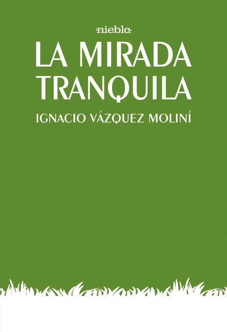 La Mirada Tranquila Editorial Niebla Ignacio Vazquez molini libro